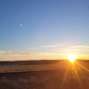 Meet your Posher, Ashlynn